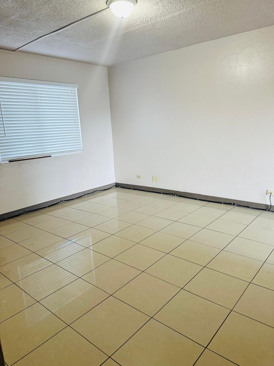 Oasis 306